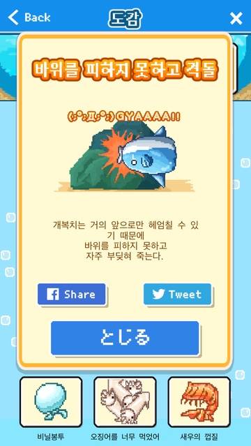 개복치