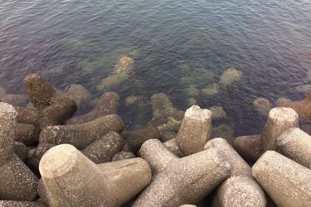 개볼락
