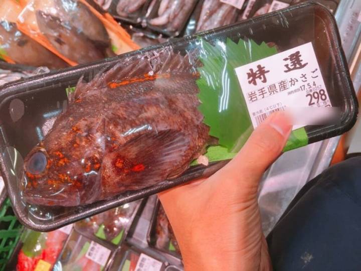 개볼락