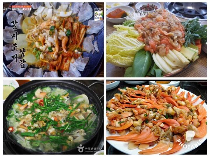 개량조개