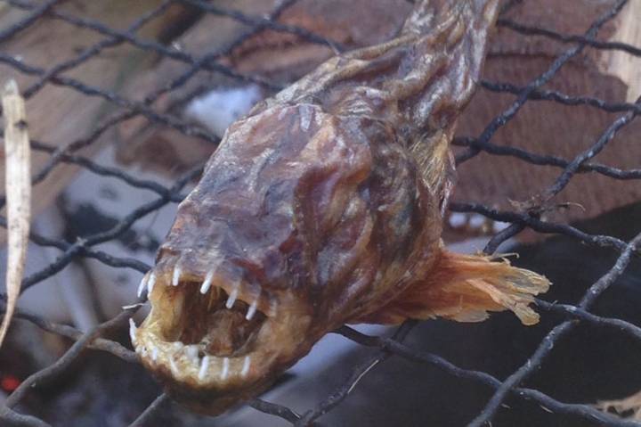 개소겡