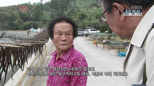 개소겡