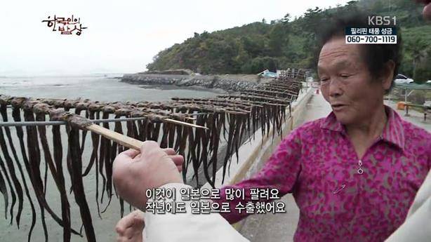 개소겡