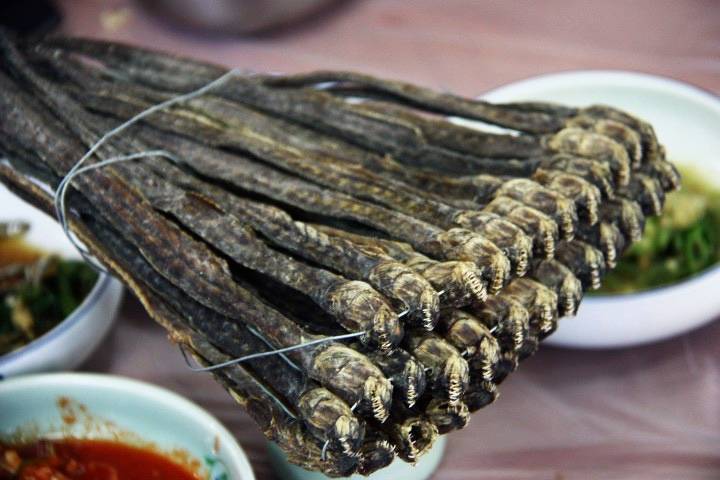 개소겡