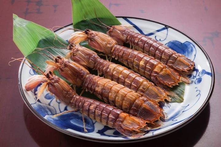 갯가재