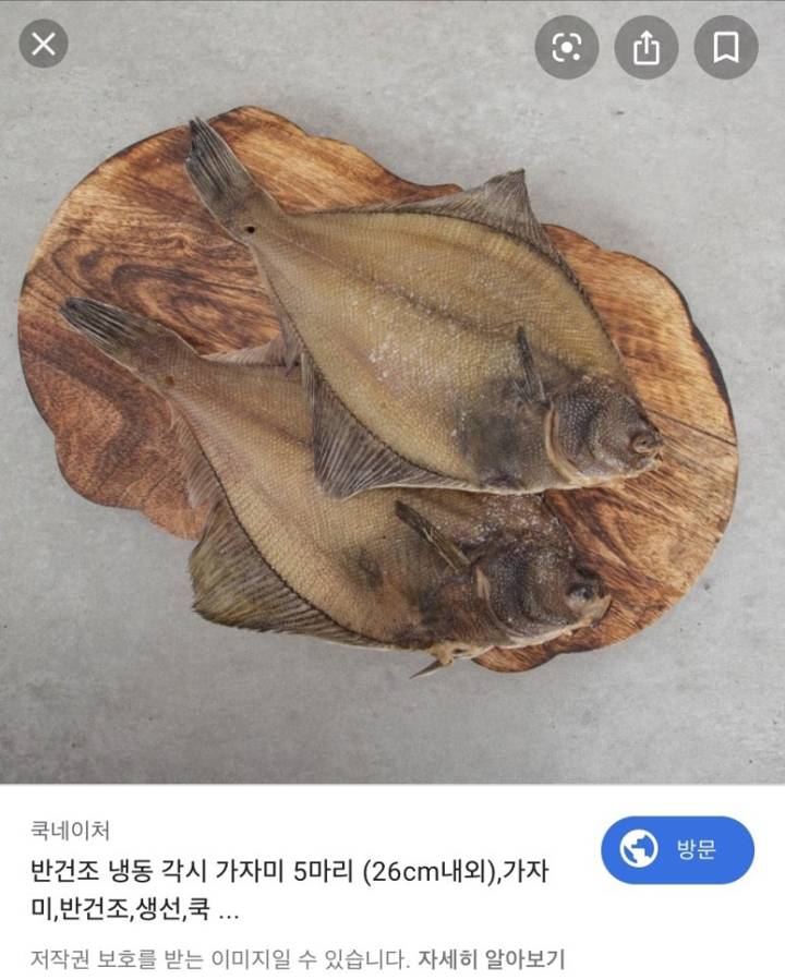 각시가자미