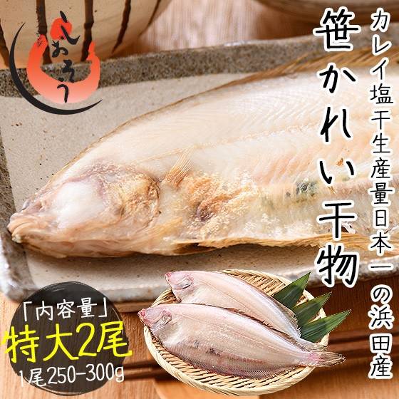 갈가자미