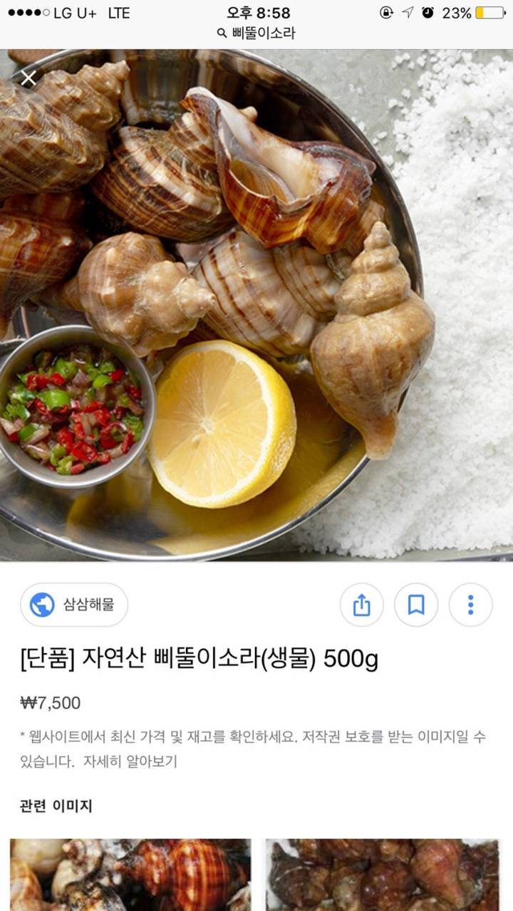 갈색띠매물고둥