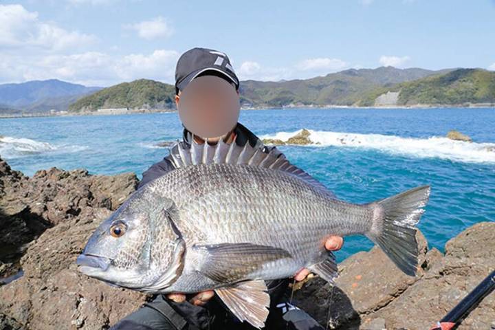 감성돔