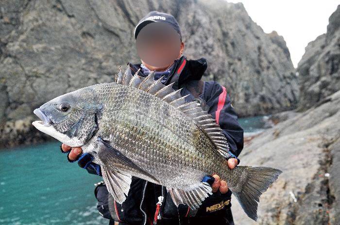 감성돔