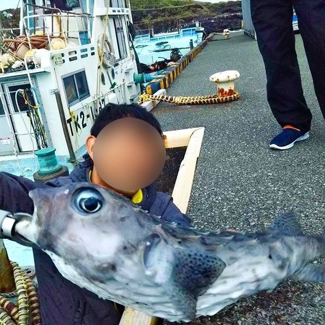강담복