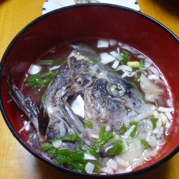 강담돔