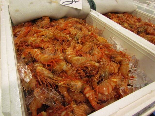 가시배새우