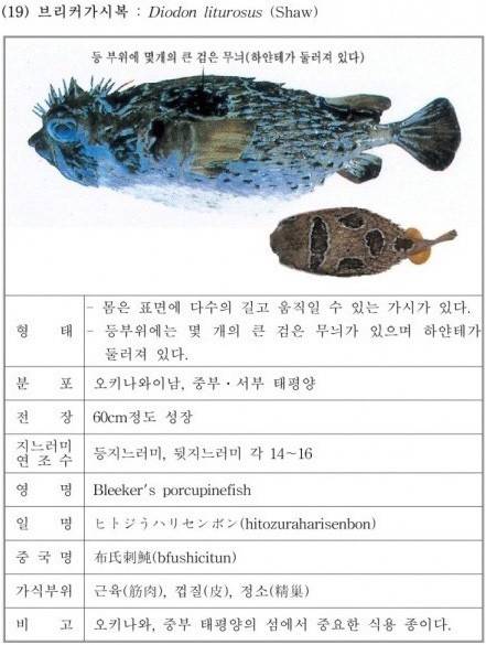 가시복