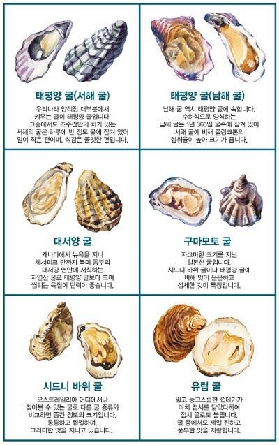 갓굴