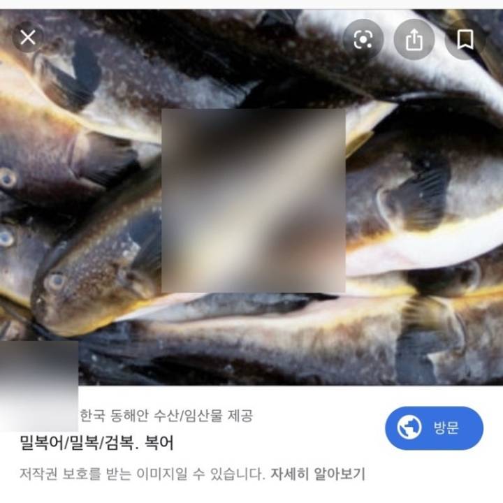 검복