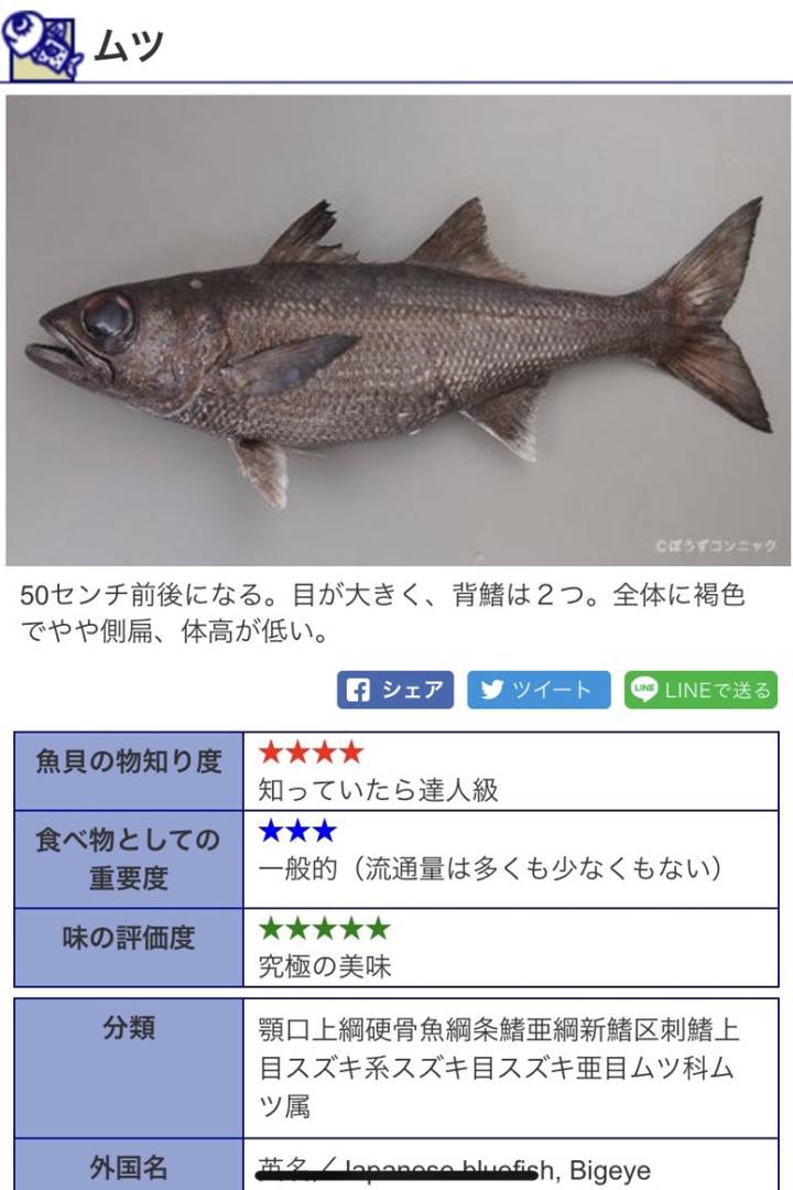 게르치