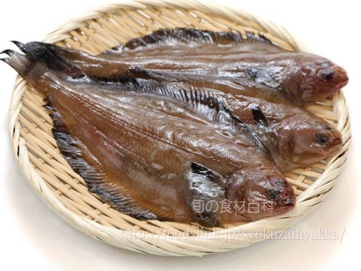 기름가자미