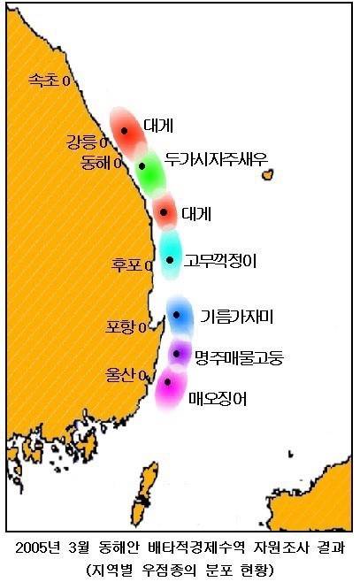 기름가자미