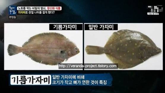 기름가자미
