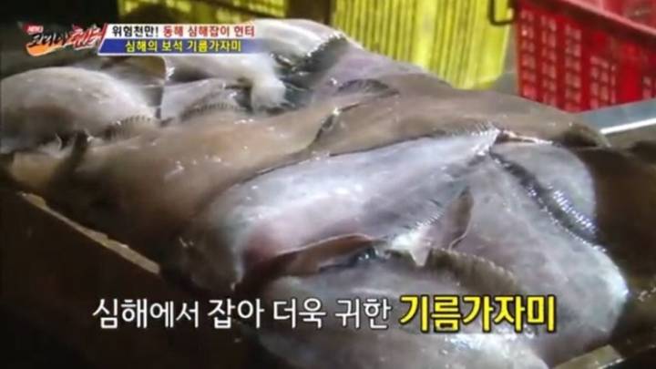 기름가자미