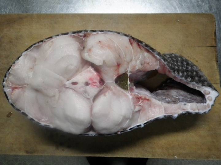 기름갈치꼬치