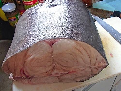 기름갈치꼬치