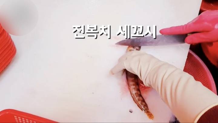괴도라치