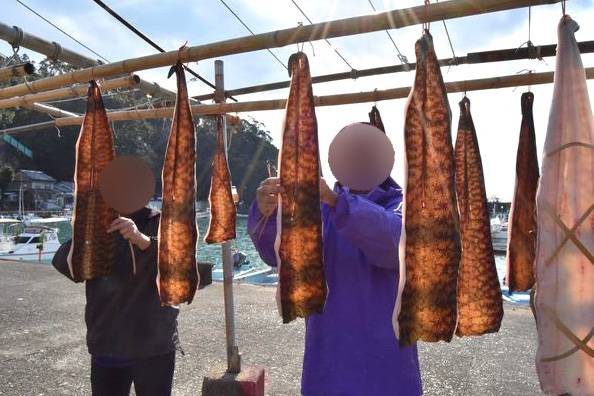 곰치