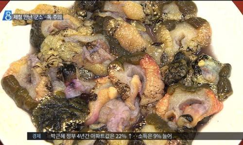 군소