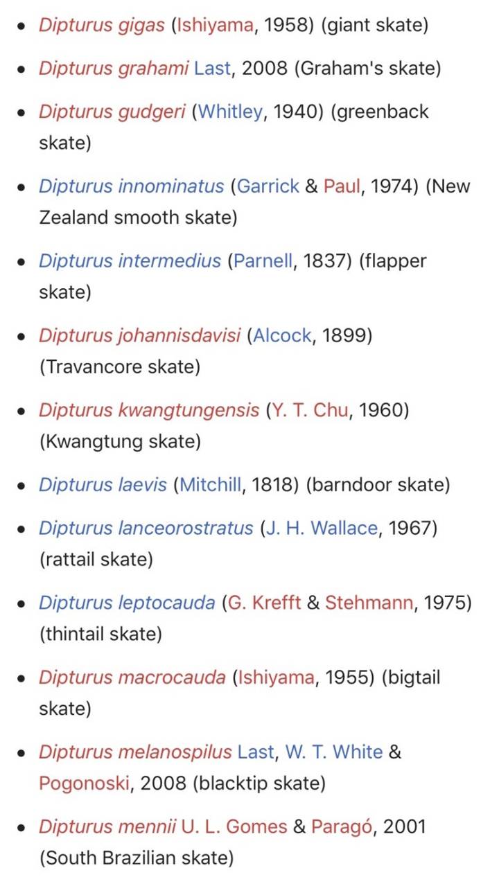 광동홍어