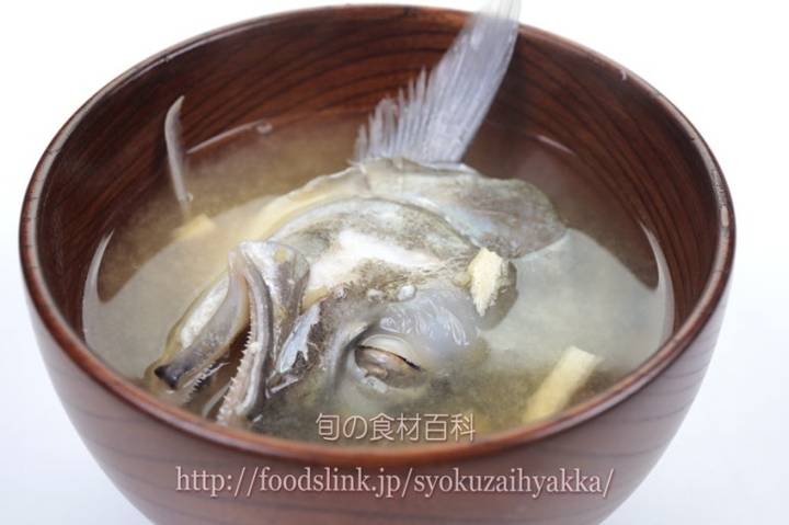 흑점줄전갱이