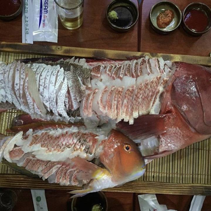 혹돔