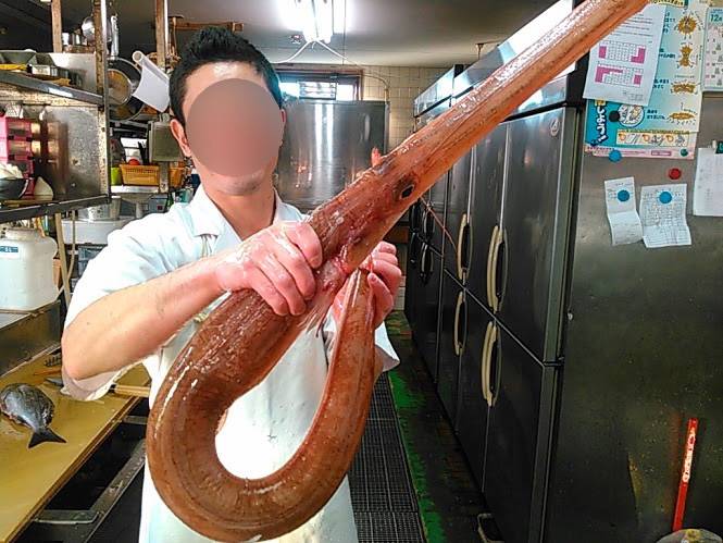 홍대치