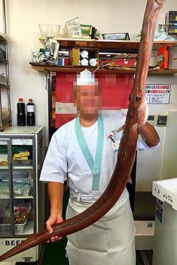 홍대치