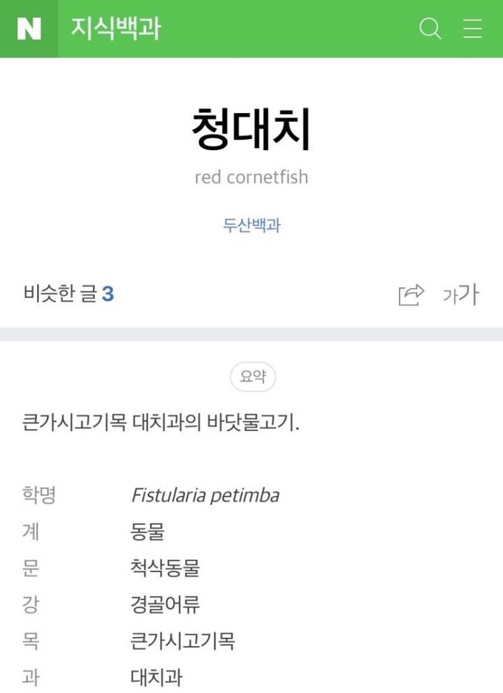 홍대치