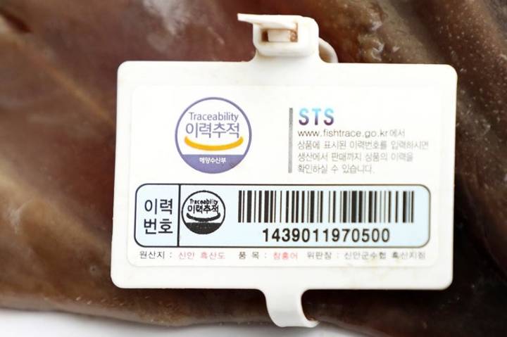 홍어