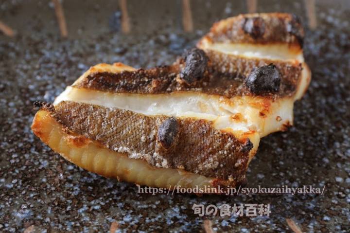 홍가자미