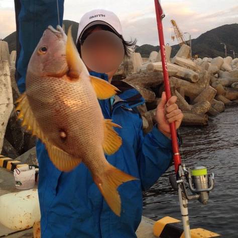 흰점퉁돔