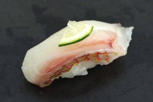 흰점퉁돔