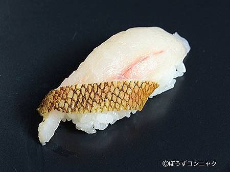 황해볼락