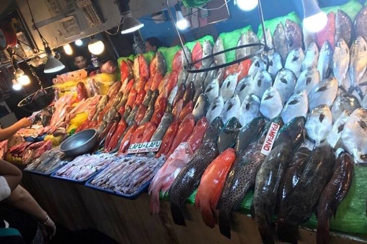 황적퉁돔