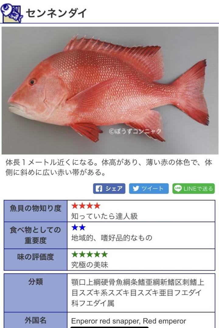 황적퉁돔