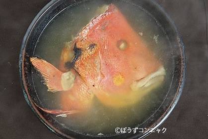 황적퉁돔