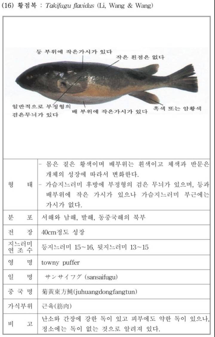 황점복