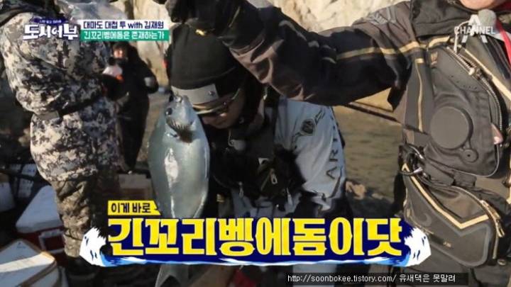 황줄깜정이