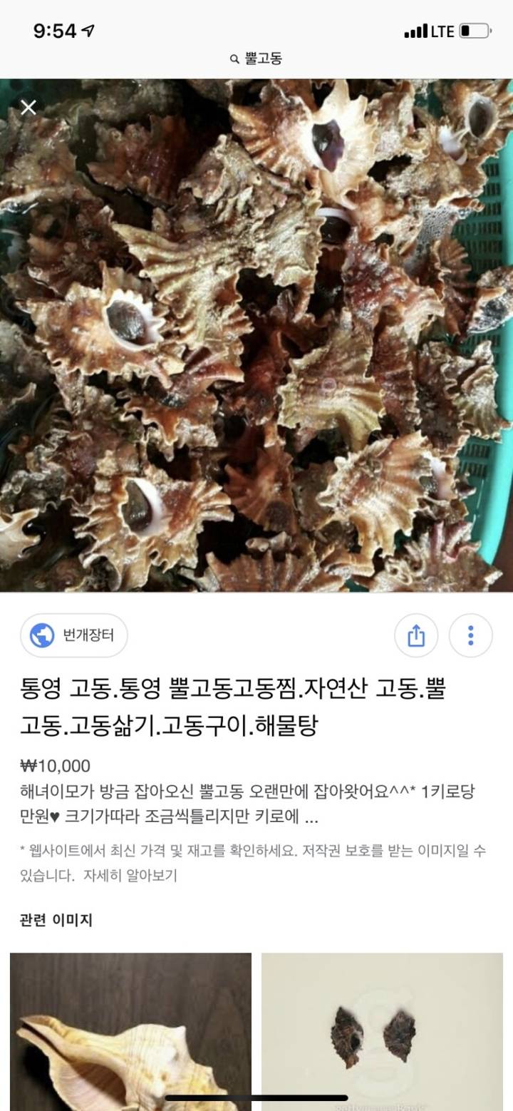 입뿔고둥