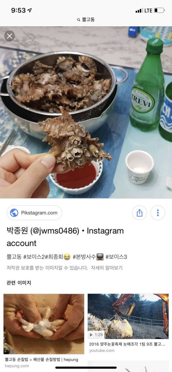 입뿔고둥
