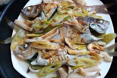 자붉돔