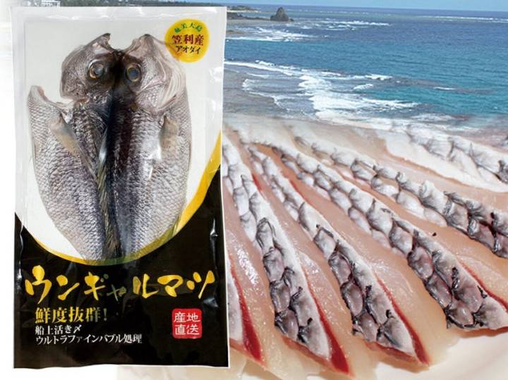 자붉돔